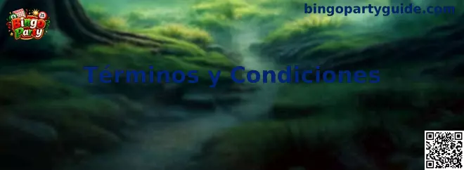 Información sobre los Términos y Condiciones de Bingo Party